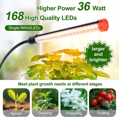 4-Head Strong Clip Grow Lights for Indoor Plants, Seed Starting, Bonsai, Succulent, Cactus with Timer, 36 Watt Power Home Plug, Enough High-Intensity Like Sun, Best Gift for Plants Lover