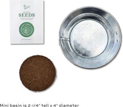 Buzzy Seeds Cactus, Moss Rose, Aloe Mini Basin Grow Kit Trio | 3-Pack | Guaranteed to Grow | Best Indoor-Outdoor Gardening Gift