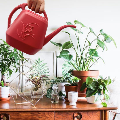 Watering Can for Indoor and Outdoor Plant - 1/2 Gallon - Wine Red