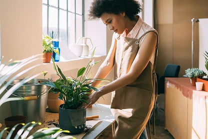 Gardenera's Professional Grade Potting Mix for Peace Lilies : The Perfect Growing Environment for Your Indoor Plants [2-Quart Bag]