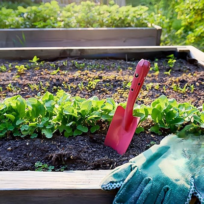 10 Pack Mini Colorful Metal Hand Shovel, Kids Teens Adults Trowel Set Garden Tools for Flower Soil Planting Digging Transplanting (11 x 3 Inch)