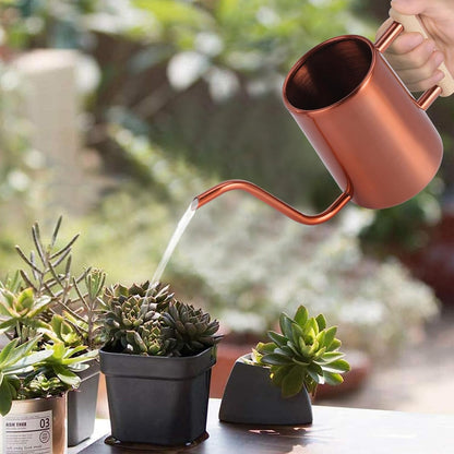 Watering Can Indoor Plants, 35 oz/1000 ml Metal Stainless Steel Watering Can Pot with Long Spout for Indoor House Plants Bonsai Outdoor Garden Flower Decorative (Copper)
