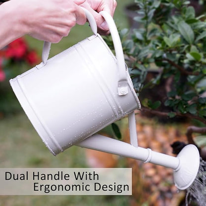 1 Gallon Metal Watering Can for Indoor Plants Outdoor Plants, Large Water Can, Garden Water Can for Kids, Detachable, Water Can with Handle, White