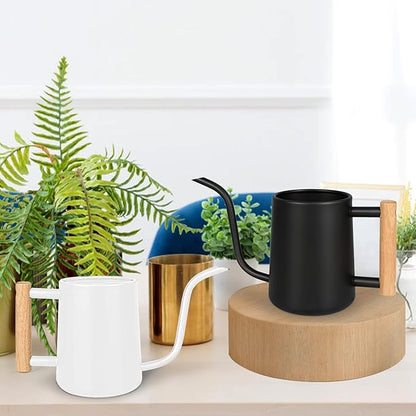 Watering Can for Indoor Plants, 35 oz/1000 ml Metal Stainless Steel Pot with Long Spout for House Plants Bonsai Outdoor Garden Flower Decorative (Black)