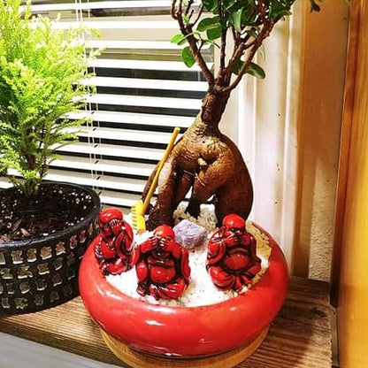 ARTKETTY Succulent Pots - 7.3 Inch Large Succulent Planters with Drainage Ceramic Bonsai Pots with Bamboo Tray, Shallow Planters for Indoor Cactus Plants Decorative Flower Plant Container