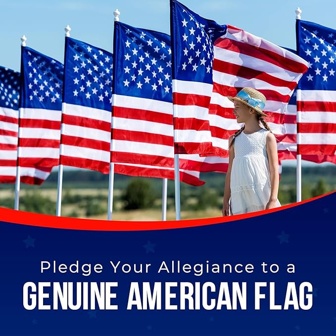 American Flag | American Flags for Outside 3X5 |100% Made in USA Flag - Premium US Flag 3X5 Heavy Duty Outdoor with Embroidered Stars and Sewn Stripes.