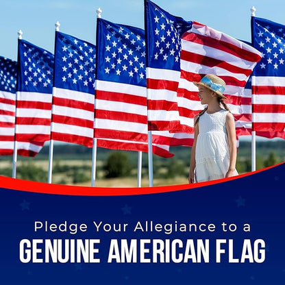 American Flag | American Flags for Outside 3X5 |100% Made in USA Flag - Premium US Flag 3X5 Heavy Duty Outdoor with Embroidered Stars and Sewn Stripes.
