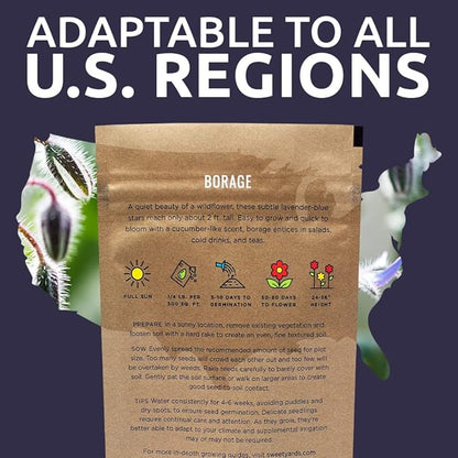 Borage Seeds – Bulk Quarter Pound Bag – Over 5,000 Open Pollinated Non-GMO Wildflower Seeds – Borago officianalis