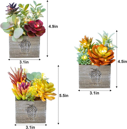 Mingfuxin Succulents Plants Artificial, Small Faux Plants with Lights, Assorted Decorative Fake Succulent Potted for Office Desk Bathroom Bedroom Shelves Windows Room Decor