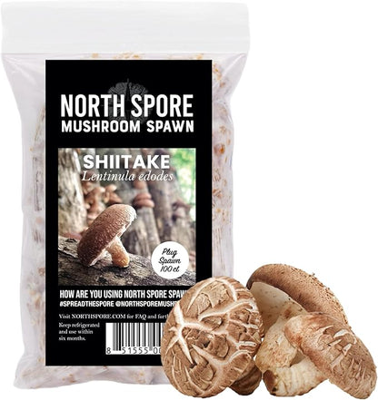 North Spore Log Inoculation Bundle | 100 ct Shiitake, Lions Mane, and Blue Oyster | Wax, Daubers, Drill Bit | Grow Mushrooms on Outdoor Logs | Premium Quality Mushroom Plug Spawn | Handmade in USA