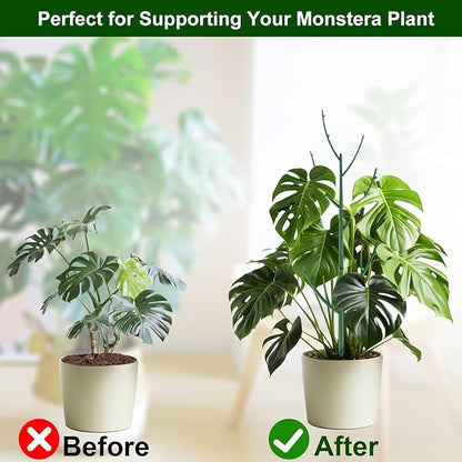 5 Pack Stackable Monstera Plant Support Stakes for Indoor & Outdoor Plants, Garden Accessories for Climbing & Potted Plants, Plant Sticks for Vine Training & Stem Stabilization