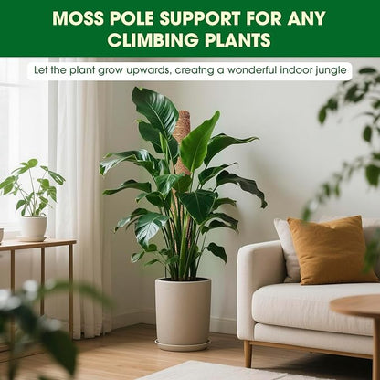 Moss Pole, 2 Pack 21 Inch Monstera Plant Support for Climbing Plants, 36 Inch Tall Stackable Plant Stakes for Indoor Plants Coco Coir Moss Pole Sticks Support for Potted Pothos, Philodendron