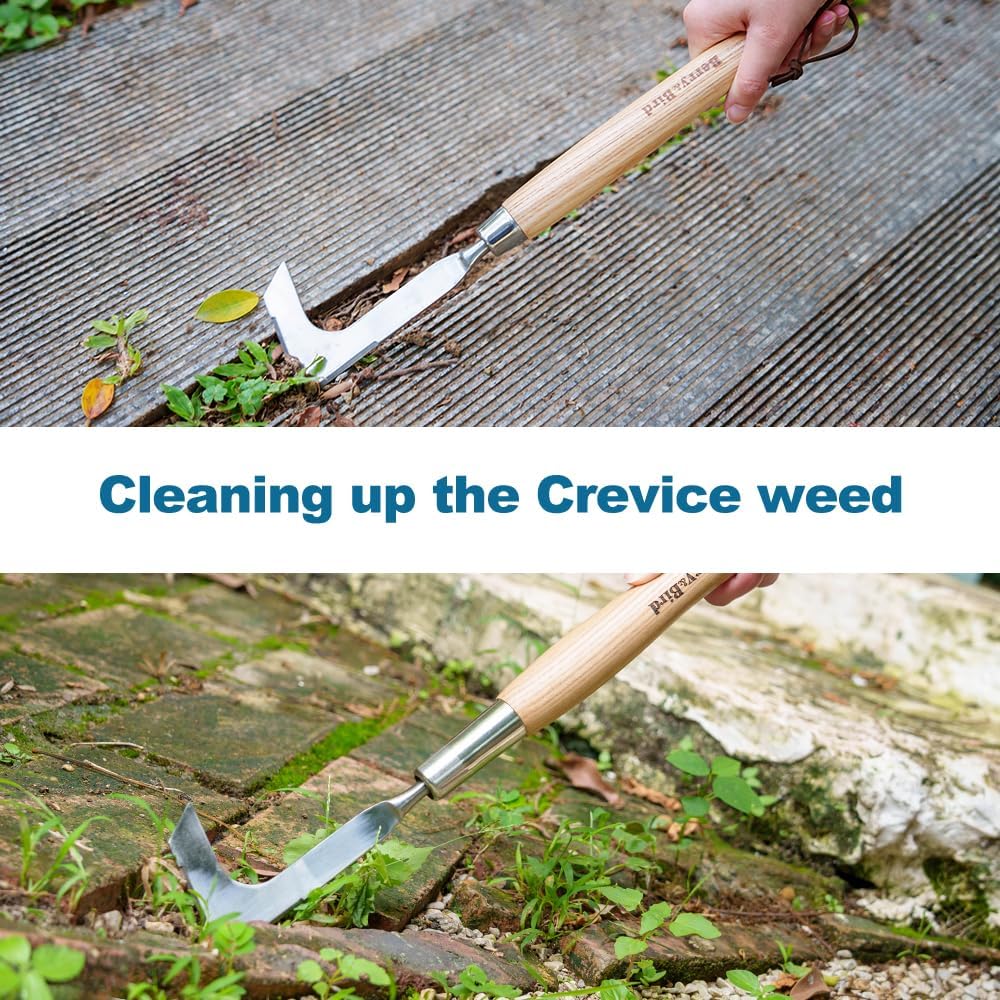 Berry&Bird 15.2'' Crack Weeder Crevice Weeding Tool with Ashwood Handle, Manual Weed Puller for Sidewalk, Driveway Cracks & Garden Edging, Weeding Sickle for Garden Patio Lawn Yard Terrace Paving Moss