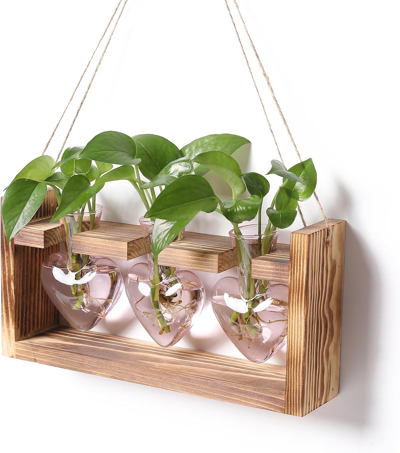 Plant Terrarium Propagation Stations Hydroponics Home Garden Decoration Gift for Women with Wooden Stand Heart Shaped Colored Glass Vase