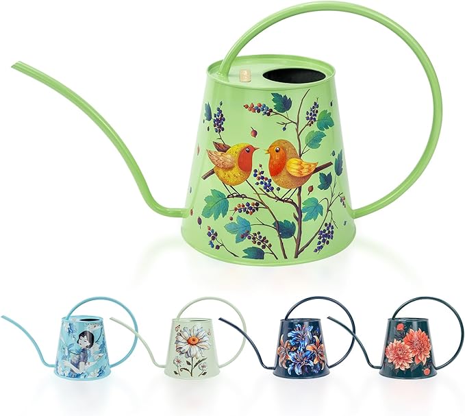 Berry&Bird House Plants Watering Can - Indoor & Outdoor 1/2 Gallon Stainless Steel Water Can with Long Spout Garden Decoration for Flower Bonsai Succulent Gardening Large Watwer Bottle(2L/Robin)
