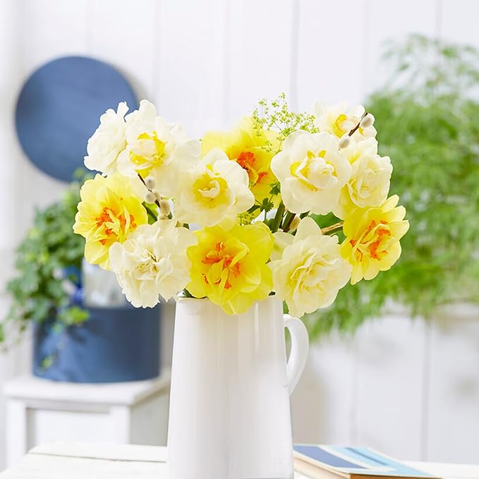 Garden State Bulb Double Mixed Daffodil Flower Bulbs, 14/16cm, Fall Planting (Bag of 250)