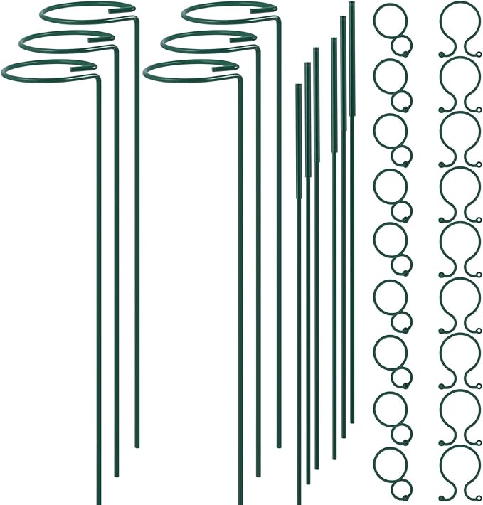 Plant Stake Support - 6 Pack Adjustable Height 12" or 24", Garden Support Stake Plant Cage Support Rings, Single Stem Plant Support Stakes, for Flowers Amaryllis Tomatoes Peony Lily Rose (24inch)