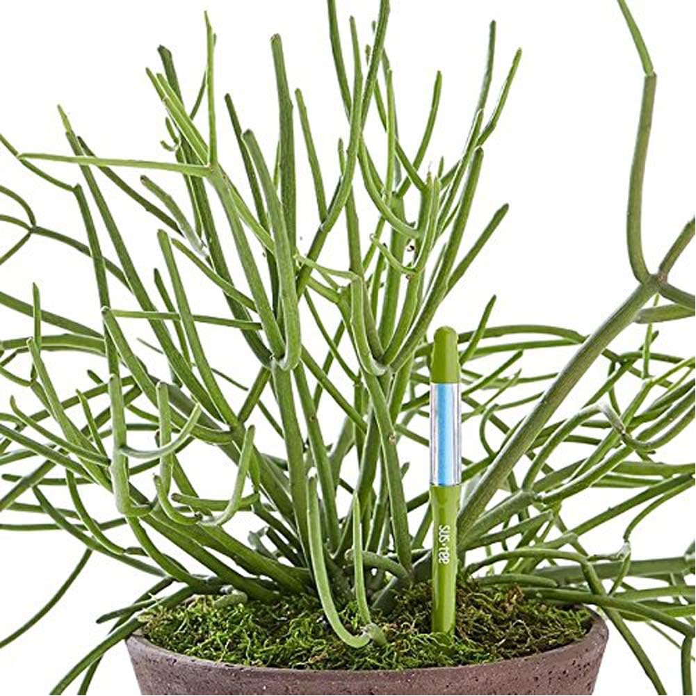 IPPINKA Sustee Aquameter (Large Green Refillable - Bundle of 2")