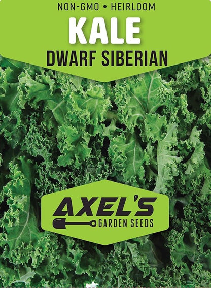 Kale Seeds for Planting - Plant & Grow Heirloom Kale Varieties Home Outdoor Garden – Easy Grow Planting Packet Instructions Included, Great Gardening Gift – 2 Packets of Each Variety