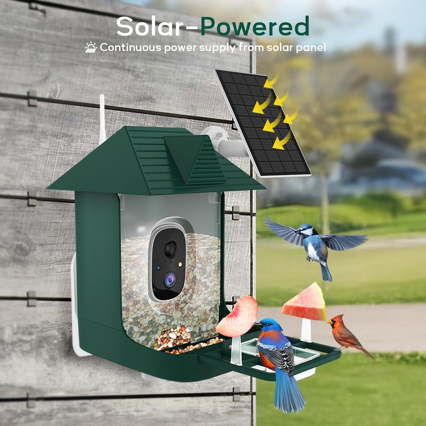 Smart Bird Feeder with Camera,Solar Powered,Waterproof Outdoor WiFi Bird House with Camera,Built in AI Birds Identification,Auto Records FHD Birds Videos to Cloud Storage,Ideal Gift for Mom and Dad