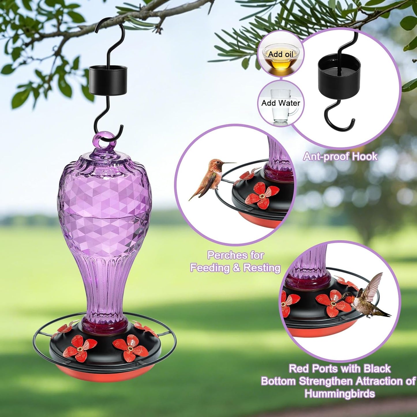 Hand Blown Glass Hummingbird Feeder for Outdoors Hanging with Ant Moat, Never Fade, 20 Ounces, Leak-Proof‌, Garden Backyard Decor for Bird Watching, for Mom Dad, Purple
