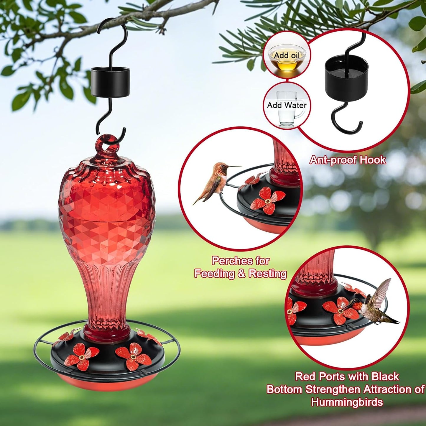 Glass Hummingbird Feeder for Outdoors with Ant Moat - Hand Blown Humming Bird Feeder, 5 Feeding Ports, Leak-Proof, 20 Ounces, Elegance Garden Decoration, Gift for Mom Dad Elderly