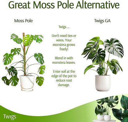 Stackable Monstera Plant Support Stakes, Climbing Plants Support Structures for Indoor & Outdoor Use, Garden Accessories, Alternative to Moss Pole - Monstera Green, 5 Pack, 17" L