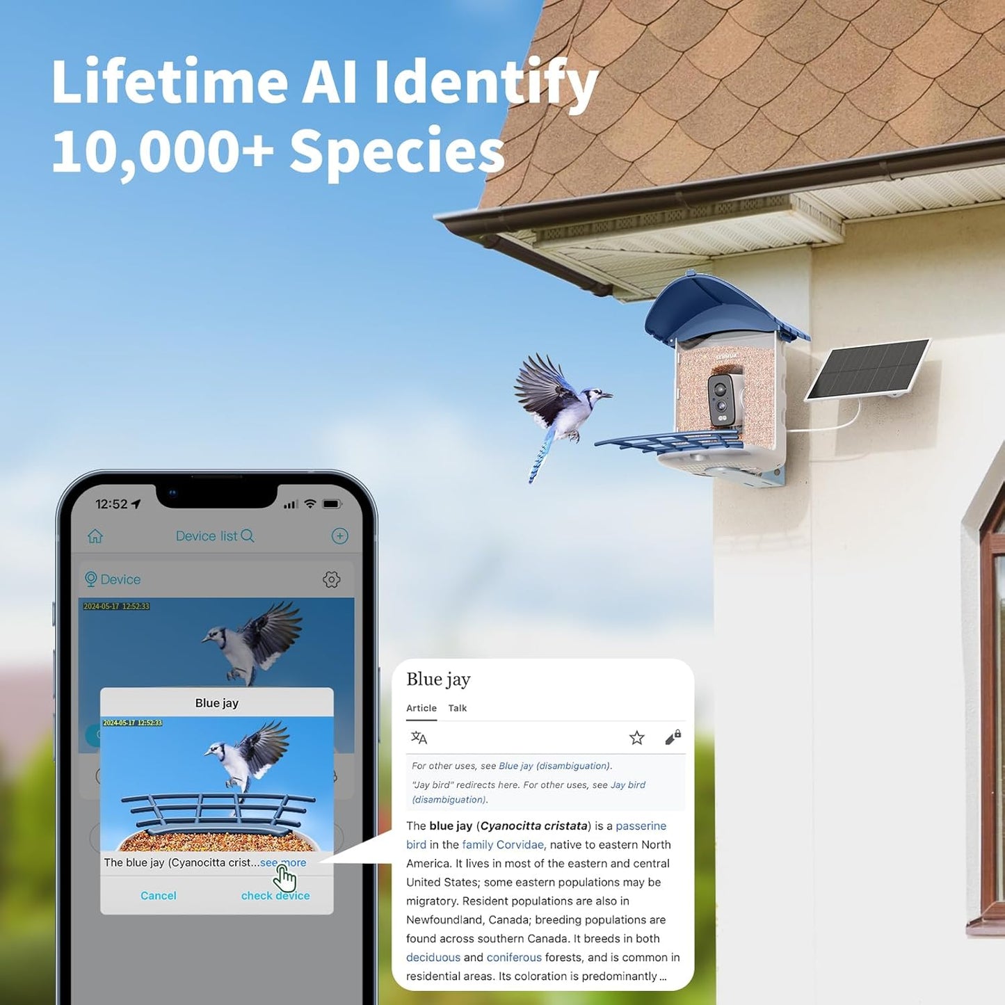 SEHMUA Bird Feeder with Camera, Solar Powered, AI Identify 10,000+ Species, Smart Bird Feeder with Live View, Ideal Present, 2.4GHz WiFi, Blue