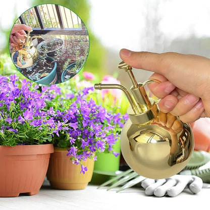Plant Misting Bottle Stainless Steel Plant Sprayer, Small Watering Can Plant Misting Bottle Modern Gardening Tools for Indoor Potted Plants Watering and Misting
