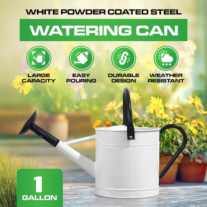 Plexon 1 Gallon Metal Watering Can Outdoor, Flower Plant Gardening Garden Large Watering Can Pot, Black Galvanized Steel Handles and Removable Spray Spout, White