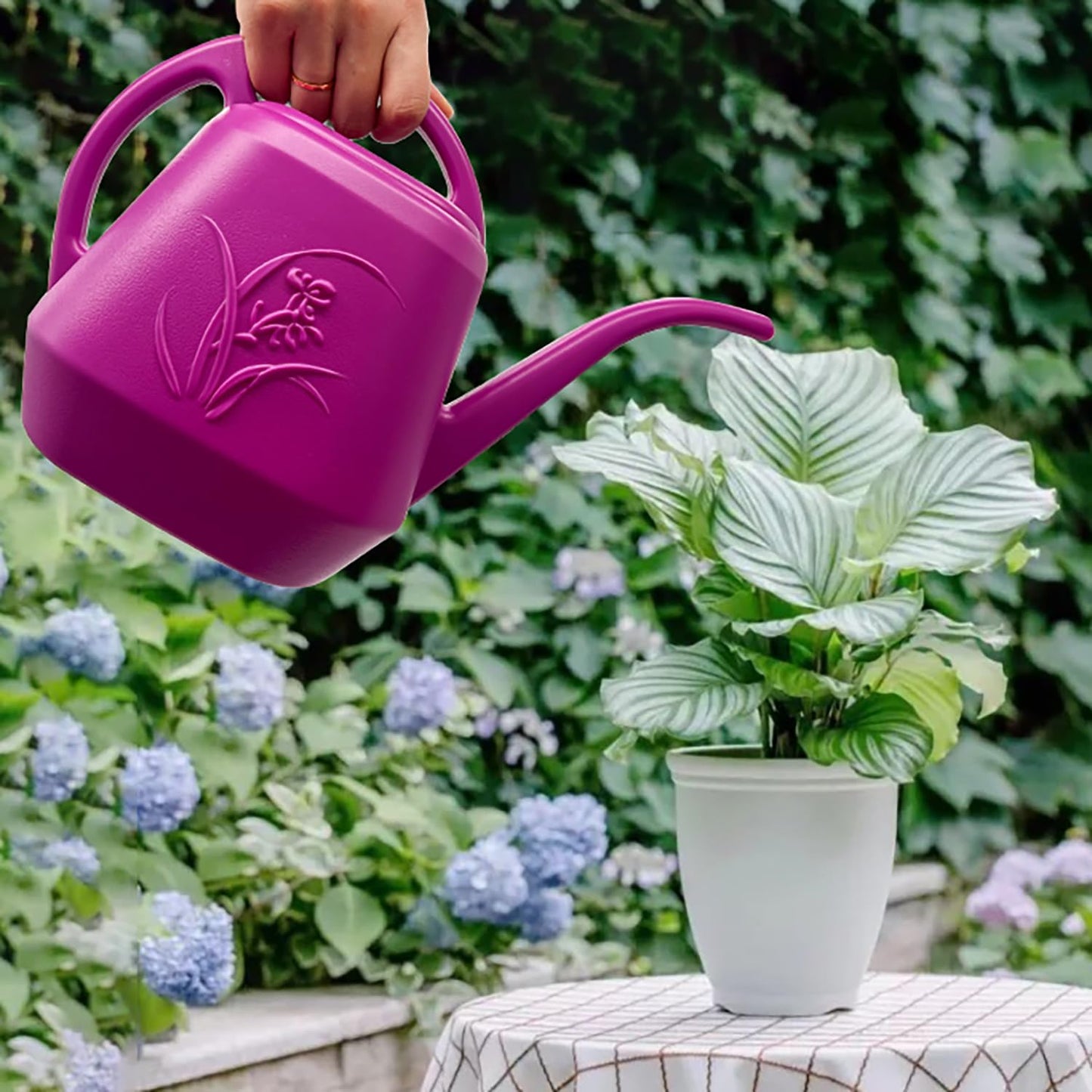 Plant Watering Can - 1/2 Gallon - Rose Red