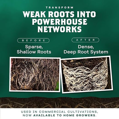 DYNOMYCO Granular Mycorrhizal Fungi Inoculant, 100g/3.5oz – Boosts Root Growth, Yields & Nutrient Uptake – 900 Propagules/g, Concentrated Granules, & OMRI Listed – Biofertilizer for Plant Growth