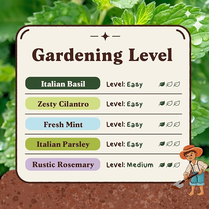 Seedboy Organic 5 Herb Variety Pack: Basil, Mint, Rosemary, Parsley, Cilantro for Planting Indoor and Outdoor, Non-GMO and USDA Certified Seed Packets (5 Herb Variety Pack)