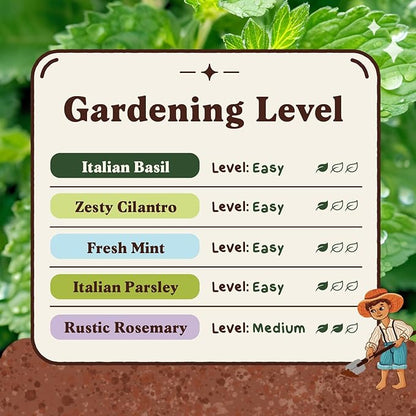 Seedboy Organic 5 Herb Variety Pack: Basil, Mint, Rosemary, Parsley, Cilantro for Planting Indoor and Outdoor, Non-GMO and USDA Certified Seed Packets (5 Herb Variety Pack)