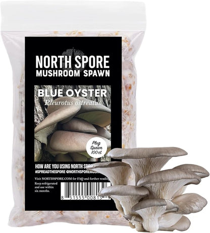 North Spore Log Inoculation Bundle | 100 ct Shiitake, Lions Mane, and Blue Oyster | Wax, Daubers, Drill Bit | Grow Mushrooms on Outdoor Logs | Premium Quality Mushroom Plug Spawn | Handmade in USA