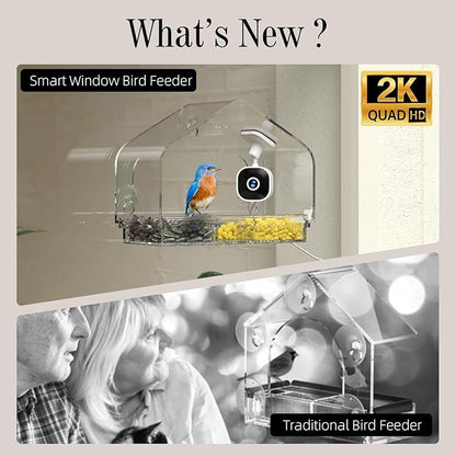 Smart Window Bird Feeder with Camera, 24/7 Powered for 2K HD Live View & AI Species ID, Wild Bird House with 3 Strong Suction Cups, Gift for Bird Watchers (Clear)