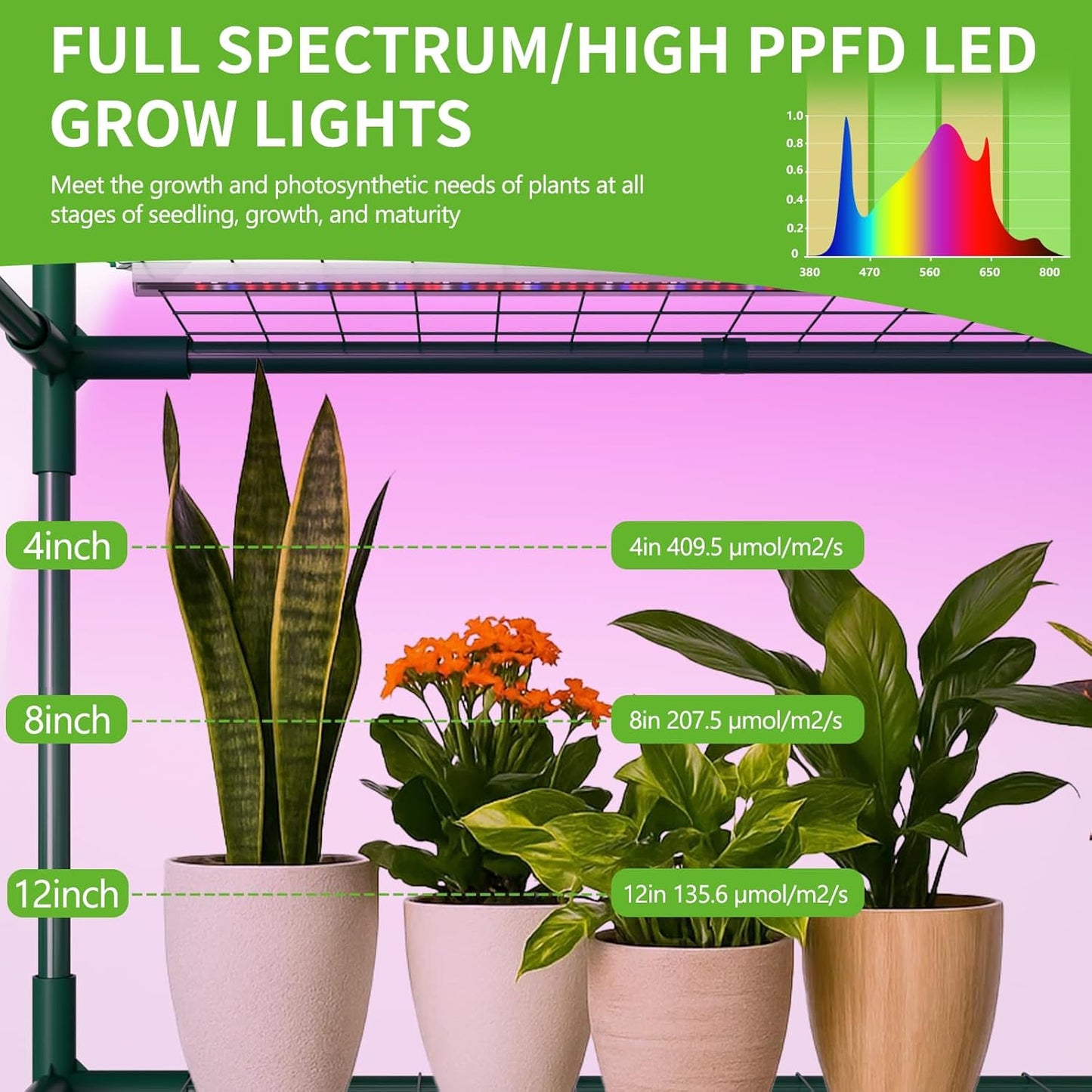 SUNYRISY Indoor Greenhouse with Grow Lights Plant Stand Shelf, 4 Tier Wall in Mini Small Greenhouse Kit with Zippered PVC Tent for Garden Seed Starting Tray, 36W Full Spectrum