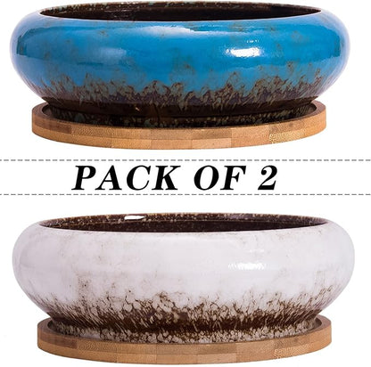 ARTKETTY Succulent Pots - Large Succulent Planters with Drainage, 7.3 Inch Ceramic Bonsai Pots with Bamboo Tray Set of 2, Shallow Cactus Flower Planter Bowl for Indoor