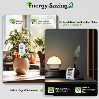 RAINPOINT Light-Driven Thermo-Hygrometer & Smart Digital Wireless Soil Moisture Meter (WiFi Hub Needed) Kit, Real-time Monitor Sensor Gardening Plant Care Essentials