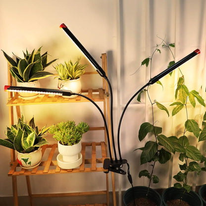 2Pack Clip Grow Lights for Seed Starting with Timer, Full Spectrum Brightest Plant Growing Lamps for Indoor Plants, Bonsai, Seedlings, 27 Watt Home Plug But Not 10W Adapter