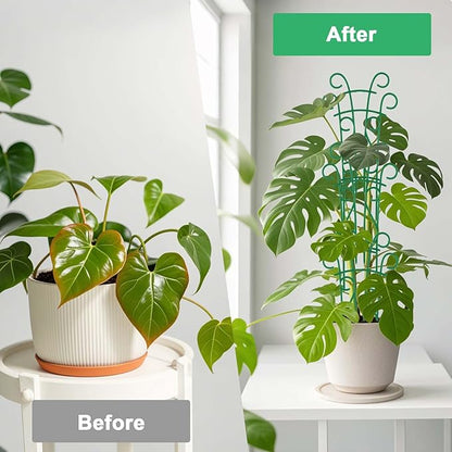 Plant Trellis for Potted Plants 4 Pack Stackable Indoor Outdoor Climbing Houseplant Support with Garden Wire for Pothos Hoya Ivy Flower