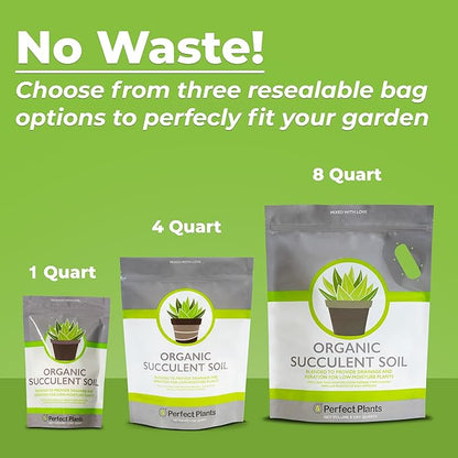 Succulent & Cactus Soil Mix by Perfect Plants (8QTS)