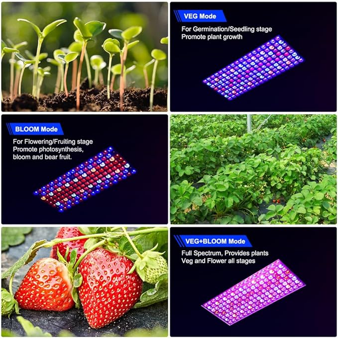 2024 Upgraded BW1000 LED Grow Lights Double Chips Full Spectrum for Greenhouse and Indoor Plant Veg and Flower Growing [White]
