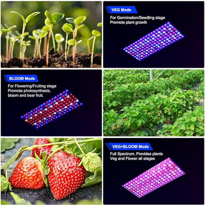 2024 Upgraded BW2000 LED Grow Lights Double Chips Full Spectrum with 10ft Cable for Greenhouse and Indoor Plant Veg and Flower Growing [Black]