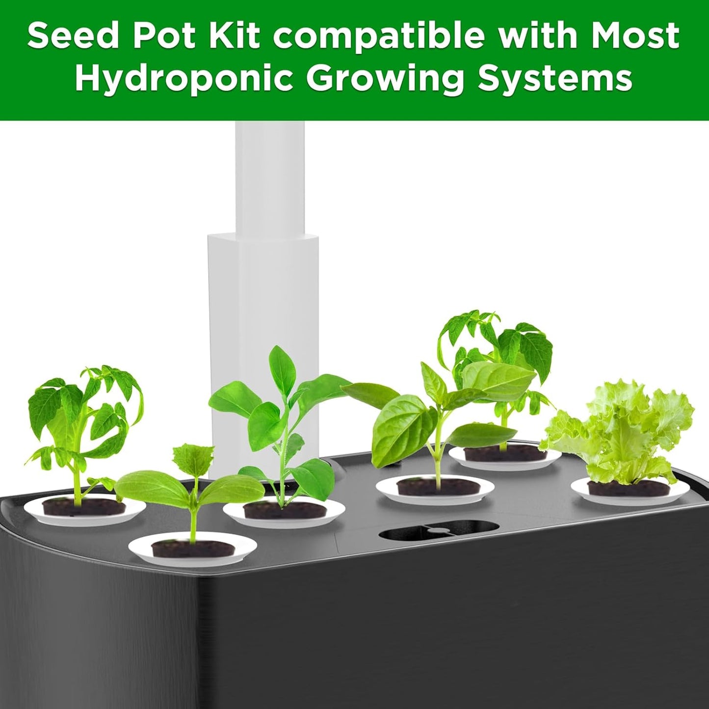50 Pack Grow Baskets for Hydroponic Growing System, Seed pods Basket Compatible with aero Garden Grow Sponge Starter pods