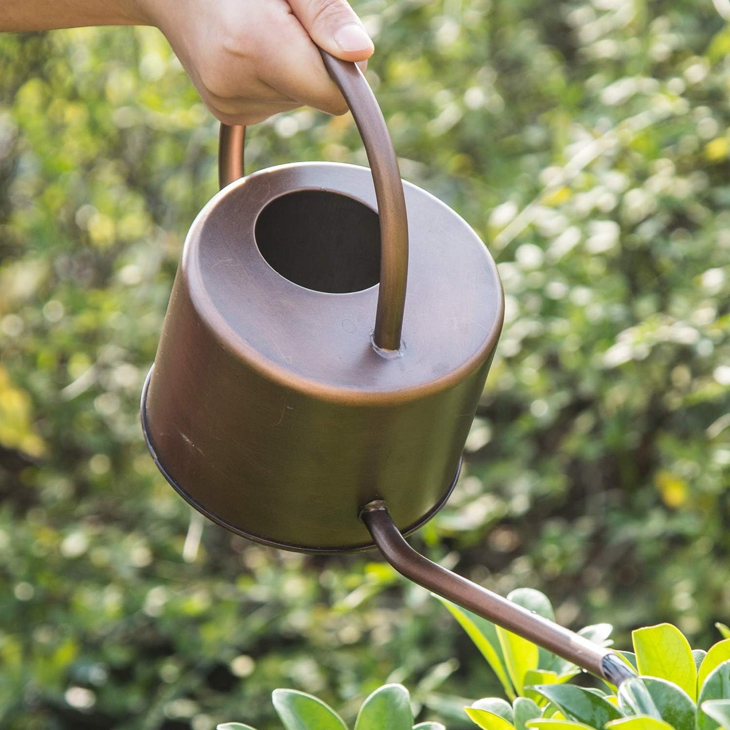 Metal Watering Can 1.3L Modern Style Watering Pot with Handle and Long Spout,Brown Color