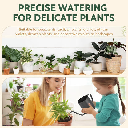 Small Watering Can Indoor Plants - 12 oz Mini Metal Watering Can with Long Spout Rust-Proof Stainless Steel Tiny Watering Pot for Small Indoor Plants Home & Office Black