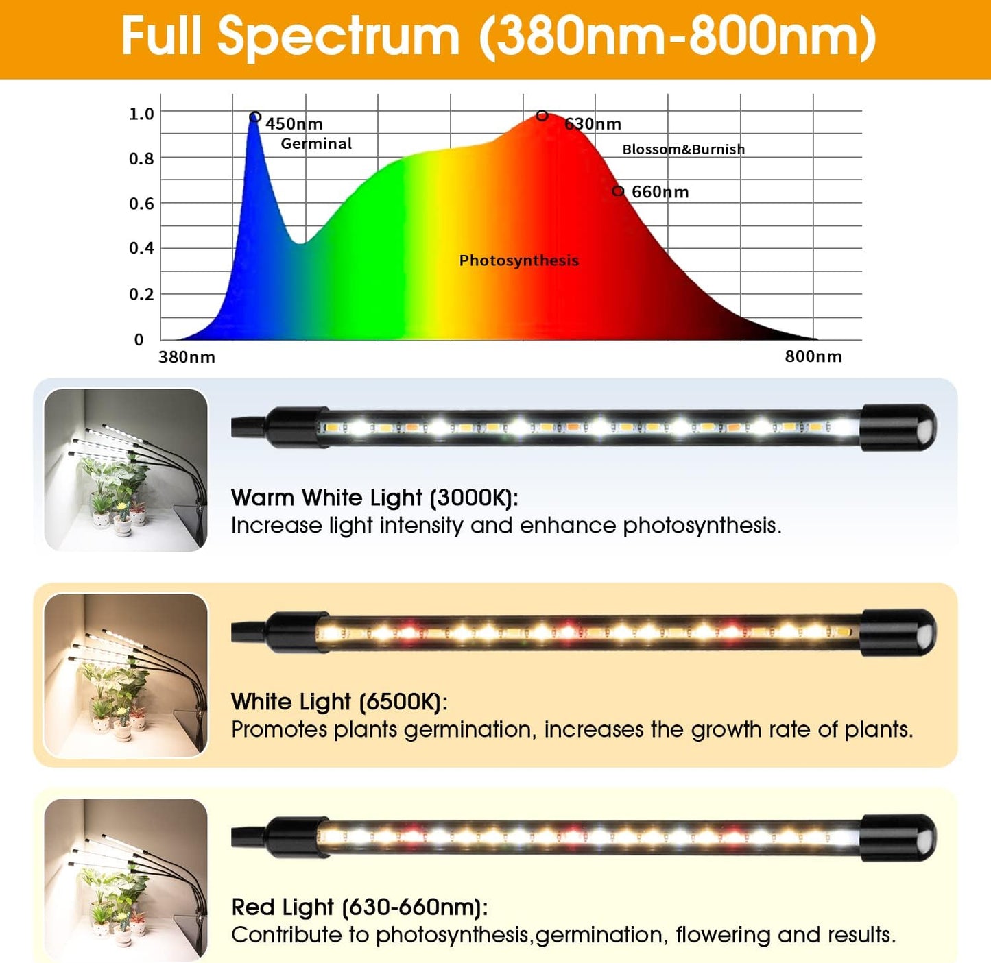 Wolezek Grow lights for Indoor Plants, 4-Head Full Spectrum LED Grow Light with Adjustable Tripod Stand 15-61 inches for Seed Starting, 3500K 6500K 660nm White Red Floor Plant Lamp with 6/12/16H Timer