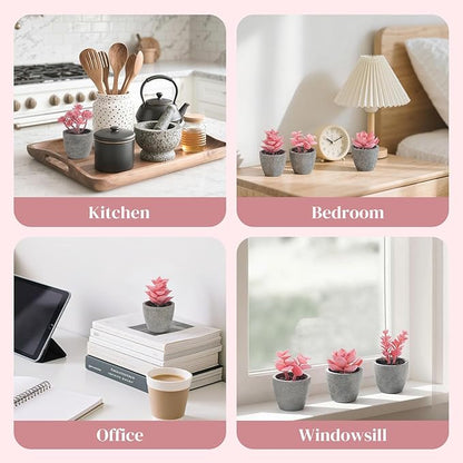 DomeStar 6PCS Small Fake Succulents Plants, Pink Artificial Plants Office Living Room Kitchen Bathroom Decor Desk Decor for Women