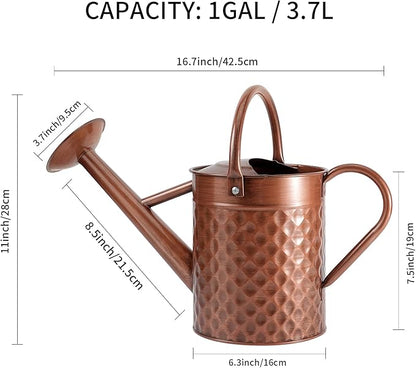 1 Gallon Metal Watering Can for Outdoor Indoor Plants, Copper Colored Watering Can with Removable Spray Spout, Ideal for Garden Watering